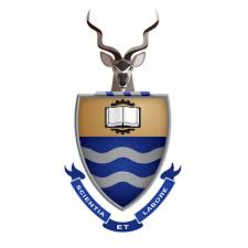 Wits logo